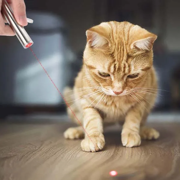 Hunting Specialty Factory Store