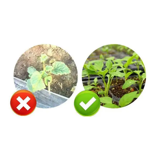 Növénynövekedés -Fokozó Kiegészítő Folyékony Növényi Növekedés Tápanyagoldata Új Növények Növényeket Termesztenek Néhány Virághoz. - Image 2