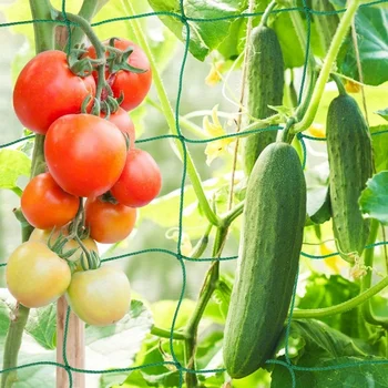 1PCS Trellis Netting Outdoor Heavy Duty Nylon Plant Climbing Netting Plant Net for Cucumber Tomato Fruits Vegetables Grapes