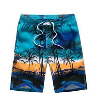 Coconut Tree Mens Swimwear Beach Shorts Surf Board Shorts Sportwear Pant Boy Short Swimsuit Kids Summer Briefs Swimming Trunks 1