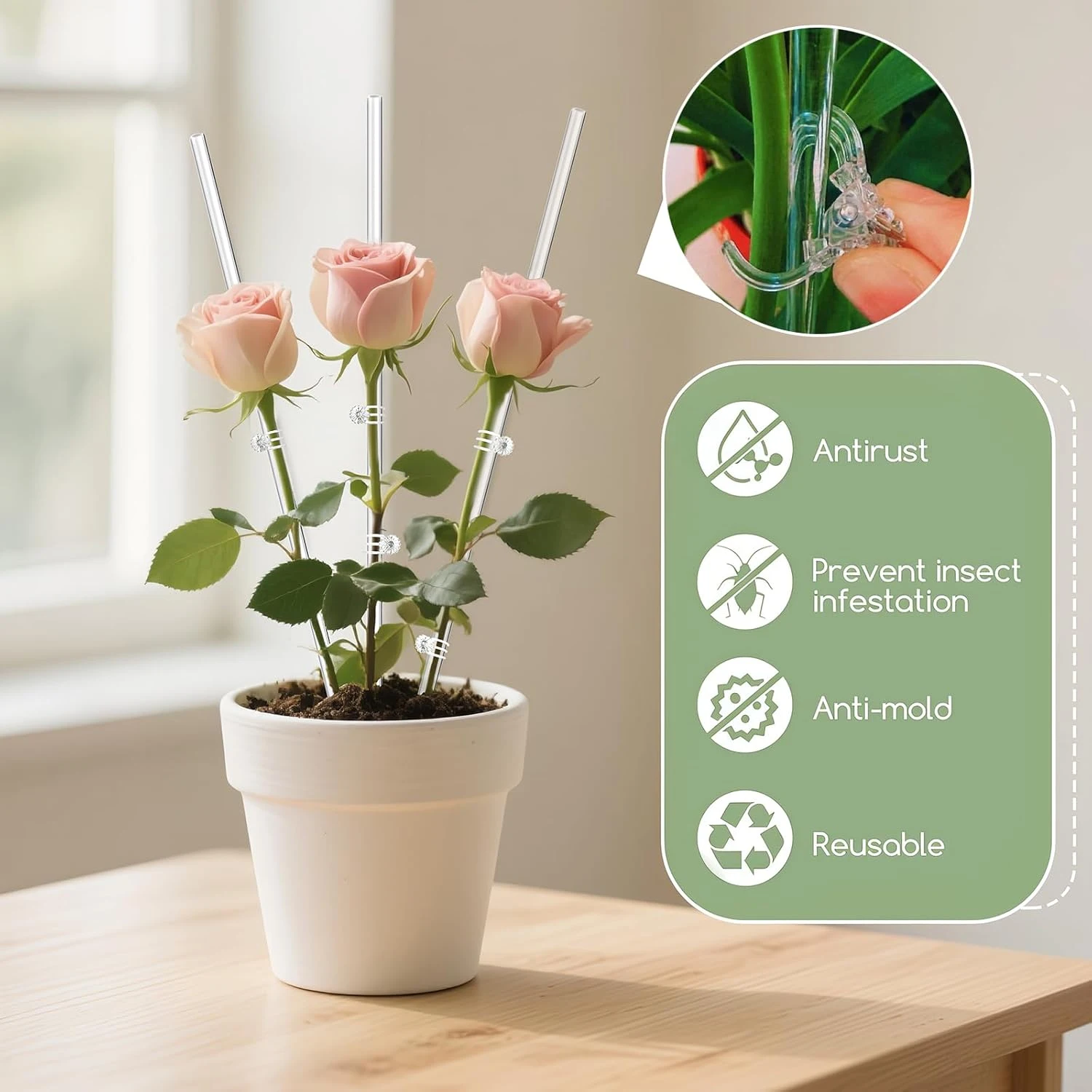 Description Picture 5 of item10/20Pcs Clear Orchid Stakes Sticks Acrylic Plant Stakes Potted Plant Support Stakes for Supporting Vines Grow Upright