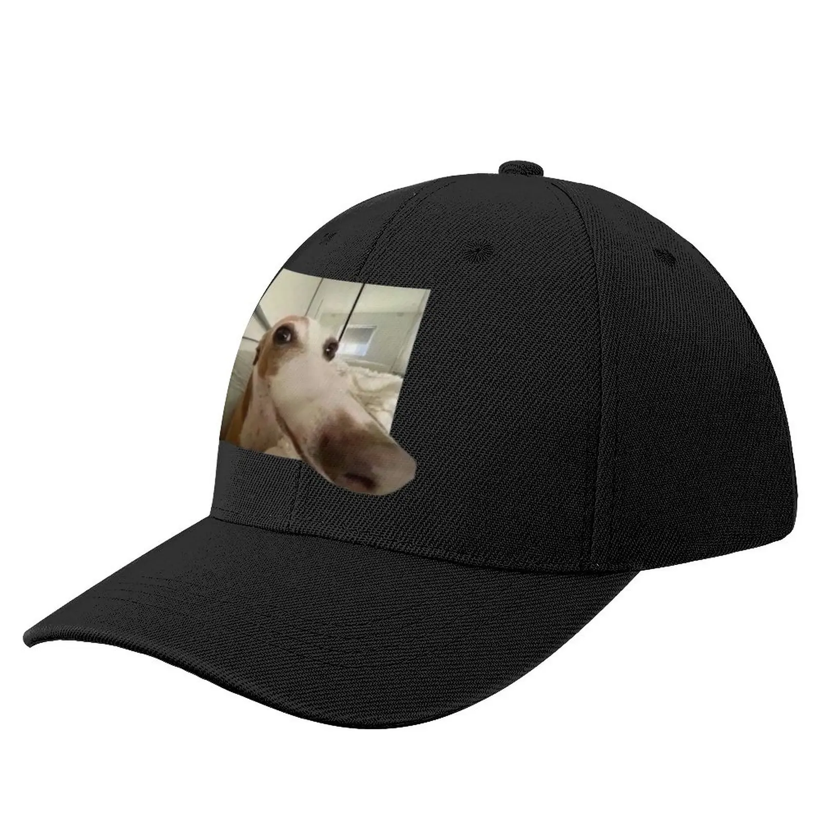 

Funny Dog Baseball Cap New In Hat Beach Bag Men's Hats Women's