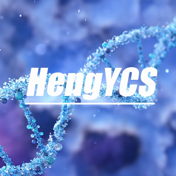 HengYCS World Store