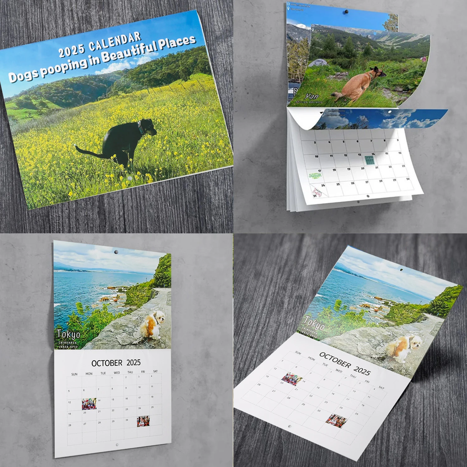 Wall Calendar Funny Dogs Pooping Hangable Daily Weekly Monthly Planner