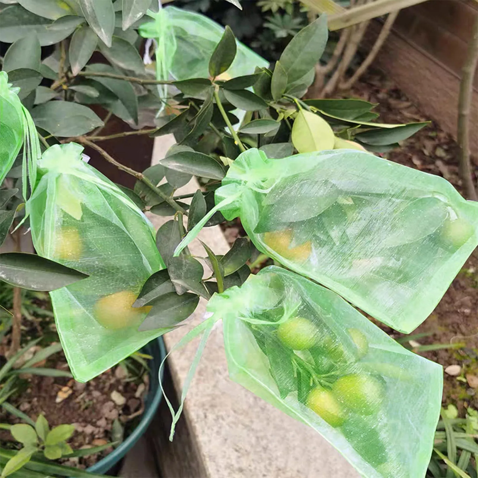 100 pezzi sacchetti protettivi per frutta sacchetto barriera in rete sacchetti di copertura per reti per alberi da frutto sacchetti di rete da giardino Anti-uccello sacchetti per la coltivazione di verdure