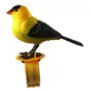 Cute Singing Bird Interactive Electronic Toys Simulation Bird Voice Control Music Educational Toys for Baby Kids Gift Funny Toy 3
