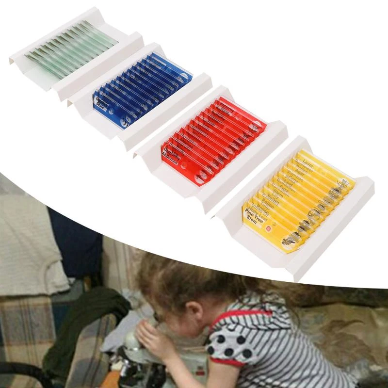 Microscope slides Microbiological Bacterial Specimens Biology Microscope Slices Lab Specimen 48pcs