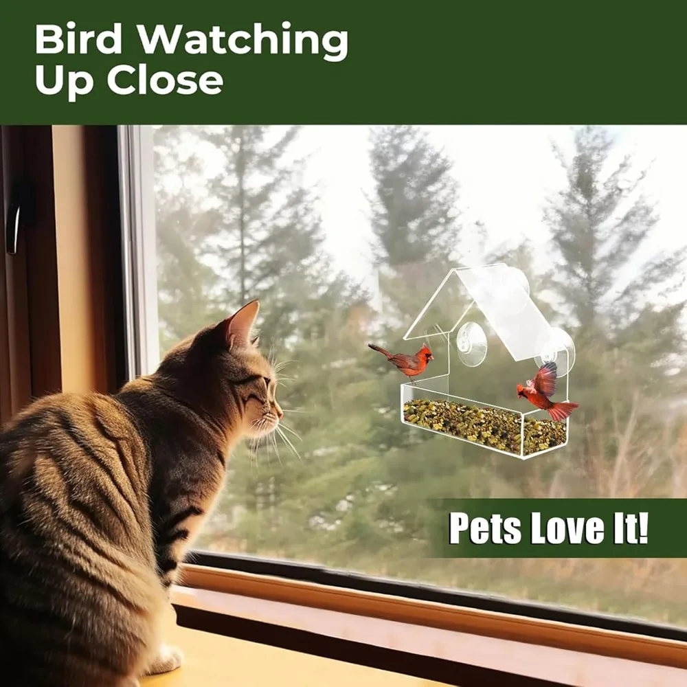 Clear Window Bird Feeder 3