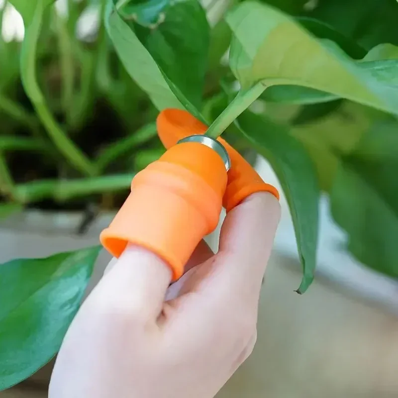 Finger Protector Silicone Thumb Cutting Knife Protector Gears Vegetable Harvesting Knife Pinching Plant Blade Scissors Gloves