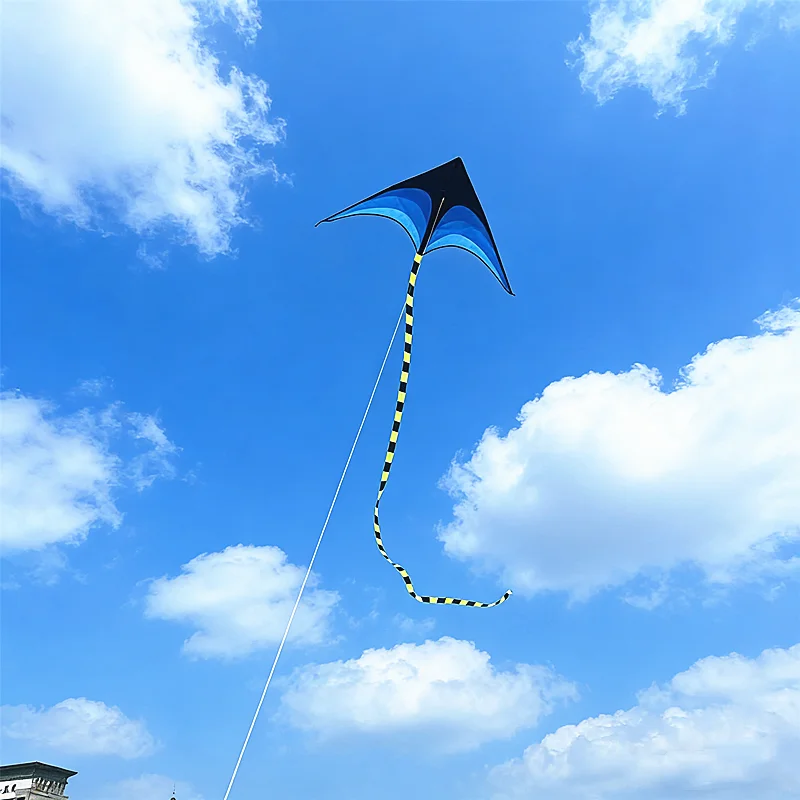 1,6 m Delta-Drachen, Winddrachen, Outdoor-Spielzeug für Kinder, Flugdrachen, Sport, Strand, professioneller Drachen, Oktopus-Drachen, Kevlar – Detail 12