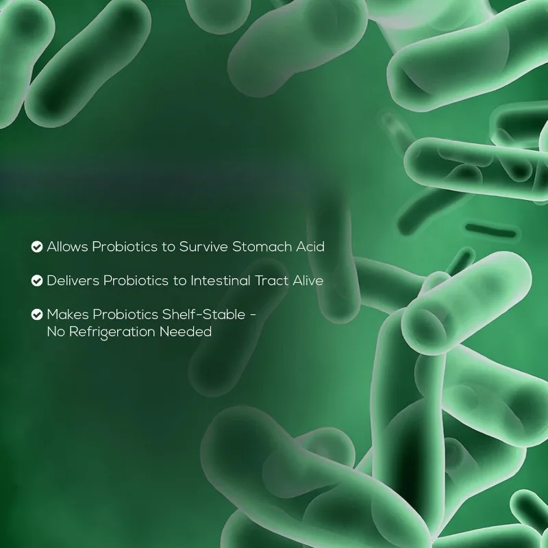 Daily Probiotic Supplement image 4