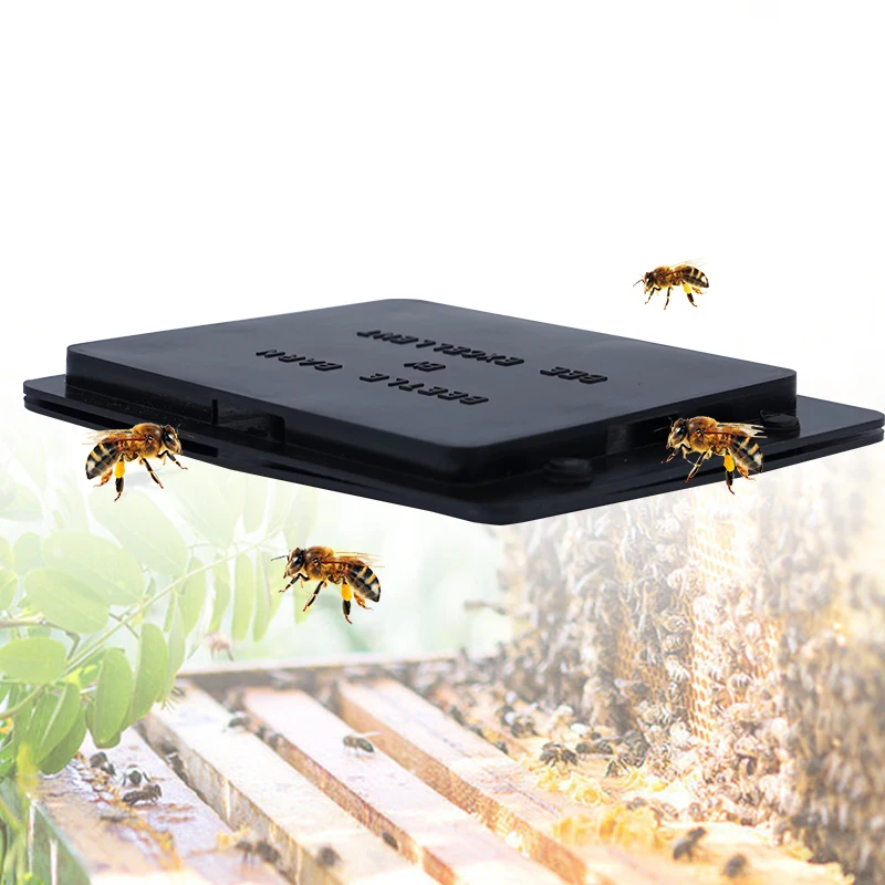 10 Pcs Beekeeping Supply Small Beetle Trapping Accessory Reusable Hive Traps Plastic Beehive Tool Hives Collecting