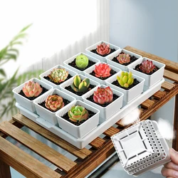 Meshpot Succulent Pot Plastic Flower Pot Cactus Lithops Planter Container Seedlings Nursery Garden Supplies Home Decoration