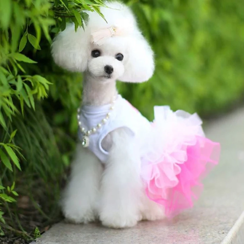 Dog Clothes For Puppy Summer Clothes Small Dog Dress Denim Skirt Harness Dresses for Dogs Apparel Fancy Dress for Chihuahua