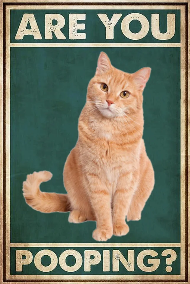 Cat Tin Sign Portrait POSTER Metal Retro Vintage Bar Decor Wall