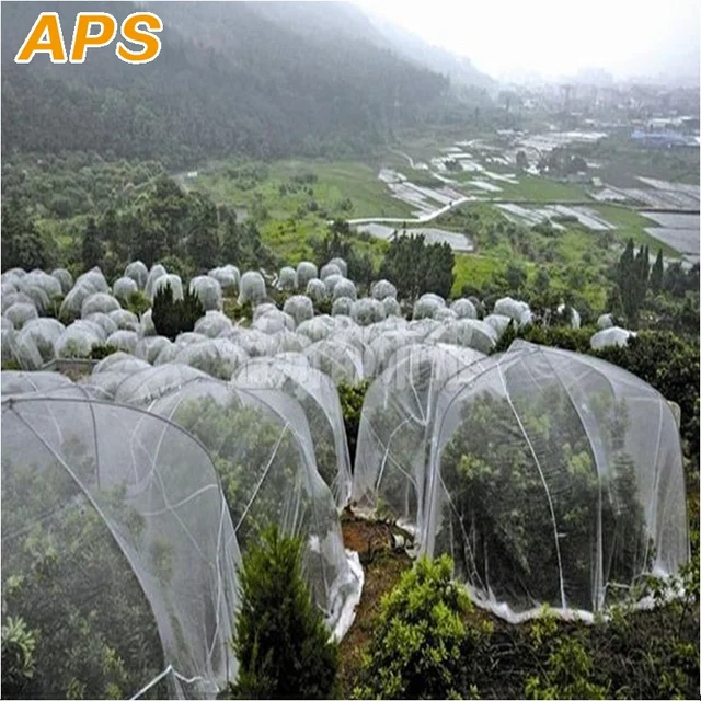 80Mesh Rovarháló Gyümölcsfák Kártevőirtó Növények Védelmi Borító Pe Nylon Nettó Szúnyog Levéltetvek Kártevő Visszautasító Ismételt - Image 4