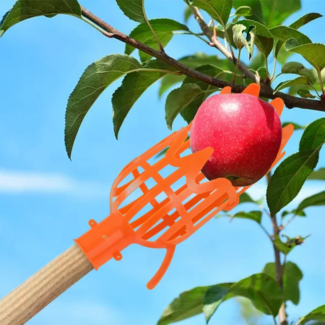 1 Db Kerti Kosár Gyümölcsválasztó Fej Műanyag Szerszám Nagy Magasságú Szedés Loquat Bayberry Tool - Image 3