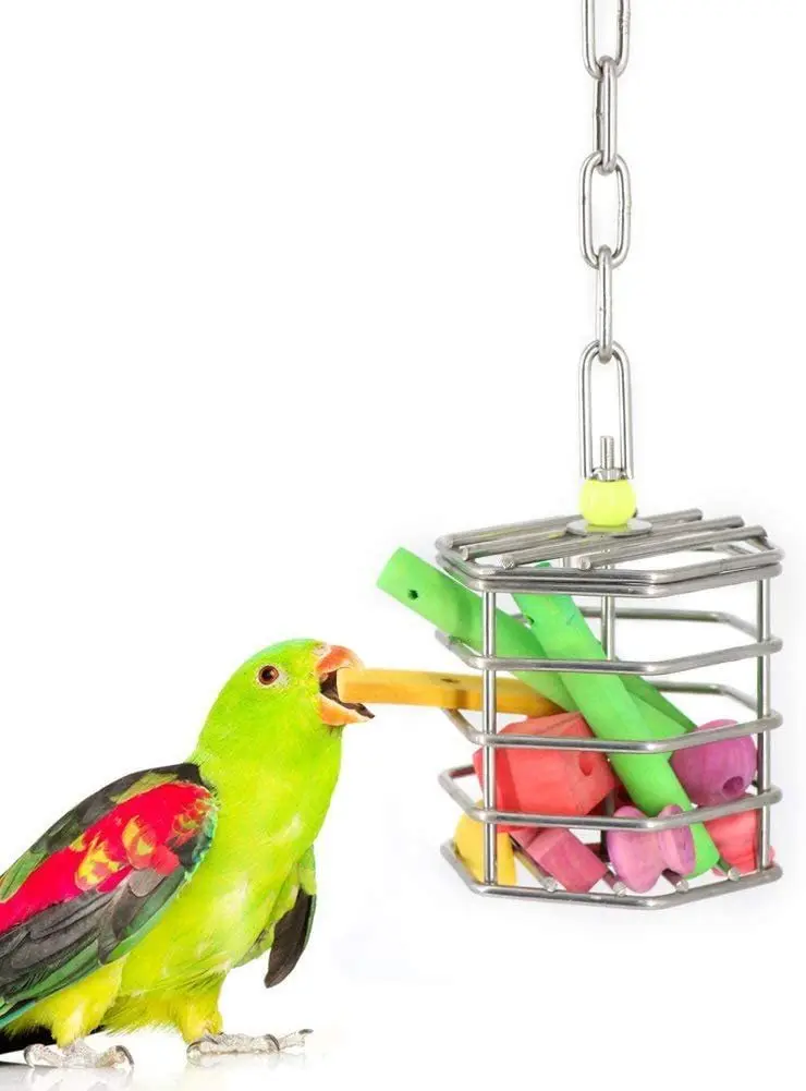 Forager Puzzle Foraging Cage Fruit Bird Toy Parrot Bite Toy Stainless steel parrot toy,bird toy