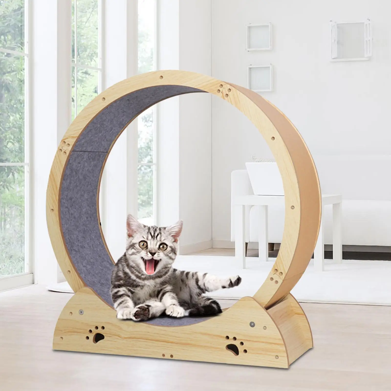 CatRunningWheelExerciserCatTreadmillExerciseWheelsScratcherBoardforKitten.jpg