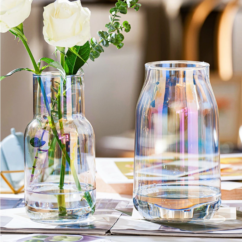 Vase à tube à essai transparent de style nordique, vase en verre pour  plantes florales, vase hydroponique, pot de fleurs pour la maison,  décoration de bureau, fournitures de jardin - AliExpress