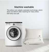 100% Cotton Soy Fiber Pillow