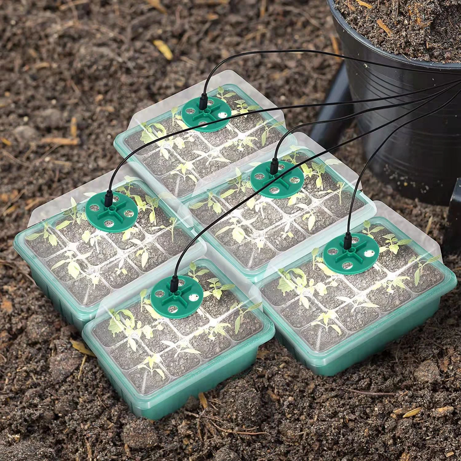 2022 12 Hole Seedling Trays Seed Starter Starter Plant Flower Grow Box Propagation For Gardening Grow Starting Germination Box