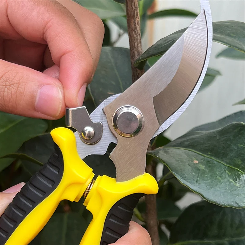 3 Packs Garden Pruning Shears Stainless Steel Cutter Clippers, Blades Handheld  Pruners Set, Professional Bypass Sharp Hand Pruner, Garden Trimmer Scissors  Kit