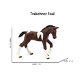 Trakehner 2