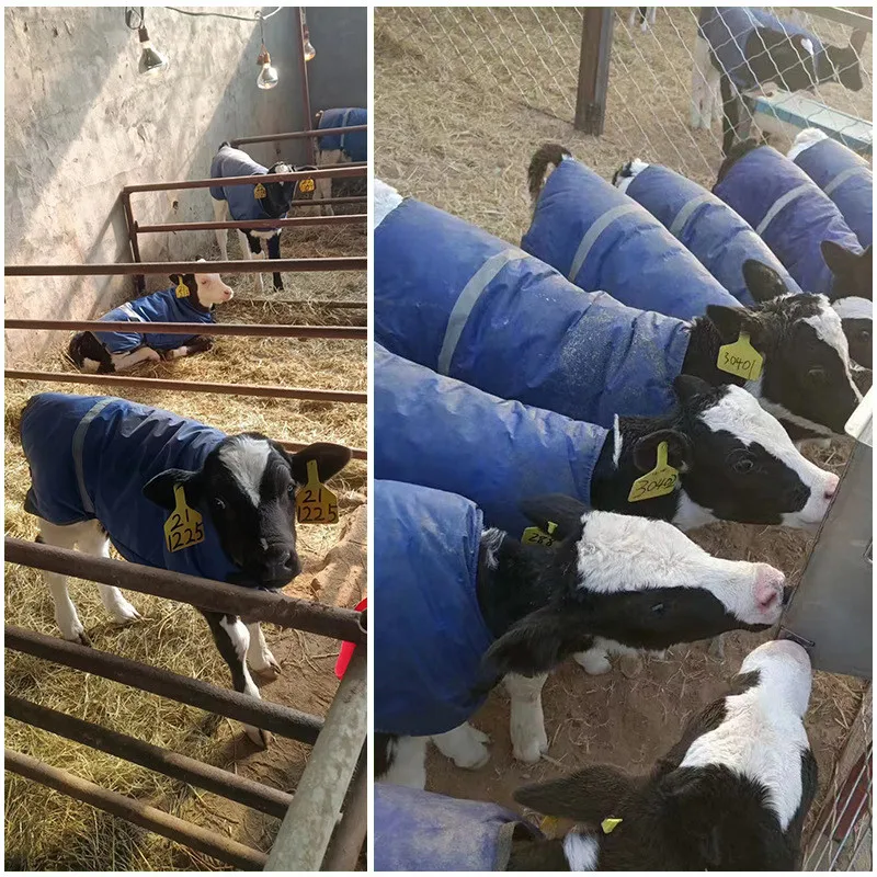 Farm Calf Vest Warm Clothing Winter Coat Warm Apparel Pasture Cold Proof Clothing Calf Dog Wrap Thermal Insulation Coat Vest