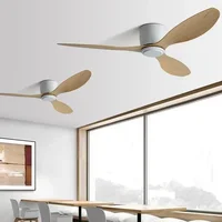 Low Floor Living Room with Lights and Remote Control Ceiling Fan, High Wind Power, Indoor Bedroom, Living Room, Dining Room 2