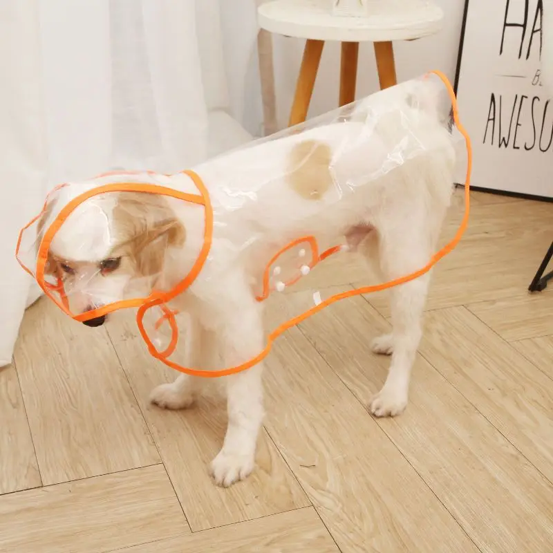 thumbnail image 1 of Chubasquero para perros, impermeable, transparente, ropa de exterior para mascotas, para perros pequeños, medianos, bulldog francés, cachorros, gatos, trajes de macotas, 1 of 5