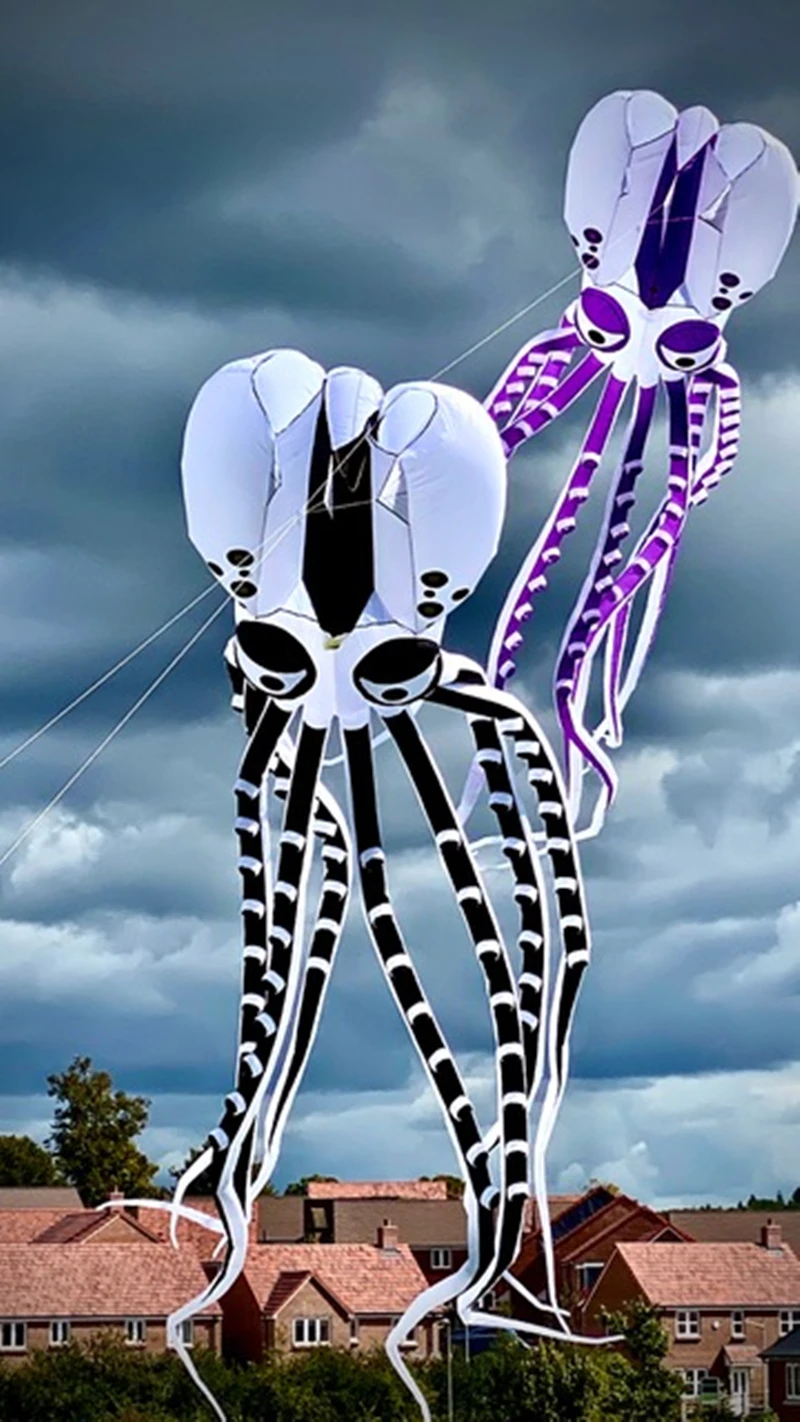 New large octopus kite inflatable kite flying cometas profesionales drachen wind outdoor toys juegos gigantes para exterior fun 2
