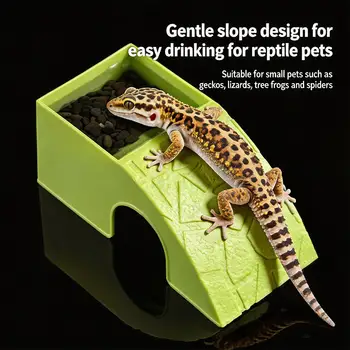 Reptile Rock Cave Hideout 1