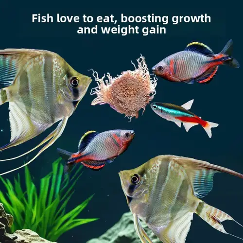 DONGYUJIANG Clean Water Fish Food Sticks|High Protein Freeze-Dried Bloodworms for Guppies&Tropical Fish|Slow Sinking&No Residue - Image 2