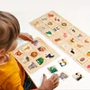 Wooden Logical Thinking Matching Puzzle Cognitive Board Montessori Teaching Aid Fruit Animal Pairing Board Educational toys 3