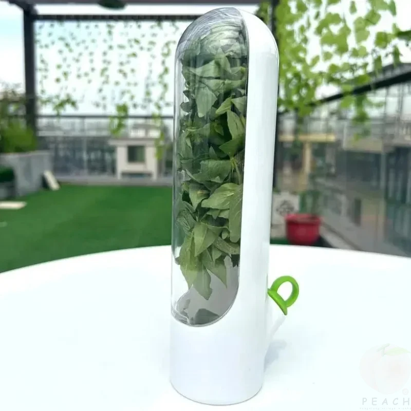 Vegetable/ Herb Fresh-Keeping Box 5