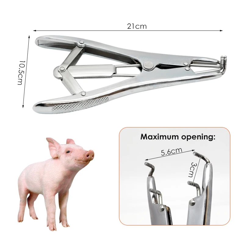 Animals Sheep Tail Castration Forceps Expansion Clamp Elasticity Rubber Castration Rings Farm Animal Bloodless Tail Pliers 4