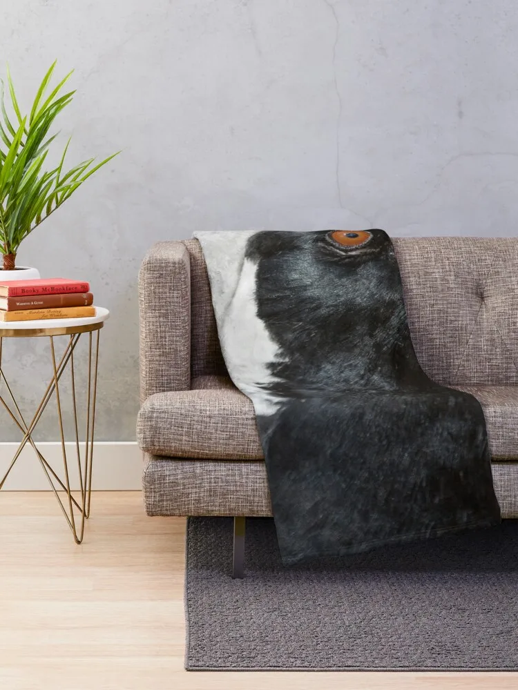 ũƾ üͰ  , ̴  , ȣ ġ