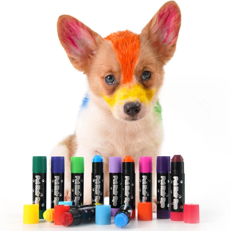 12Colors Pets Temporary Colors Beauty Hair Care Pet Hair Dye Washable Safe Hair Dyeing Pet Grooming Kit Pets Temporary Color 5