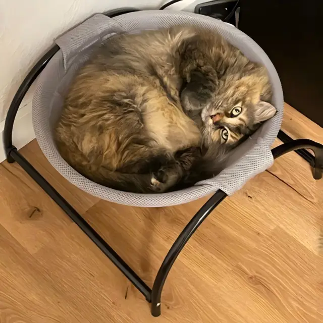 Warm Cat round Bed Winter Free-Standing Pet Sleeping Mattress Removable Washable Indoor Outdoor Universal Cats Bed 2