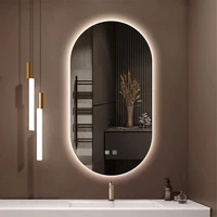Oval Smart Vanity Bathroom Mirror High Quality Refection Three Color Brightness Dimmer With Anti-fog LED Hotel bath Mirror 1