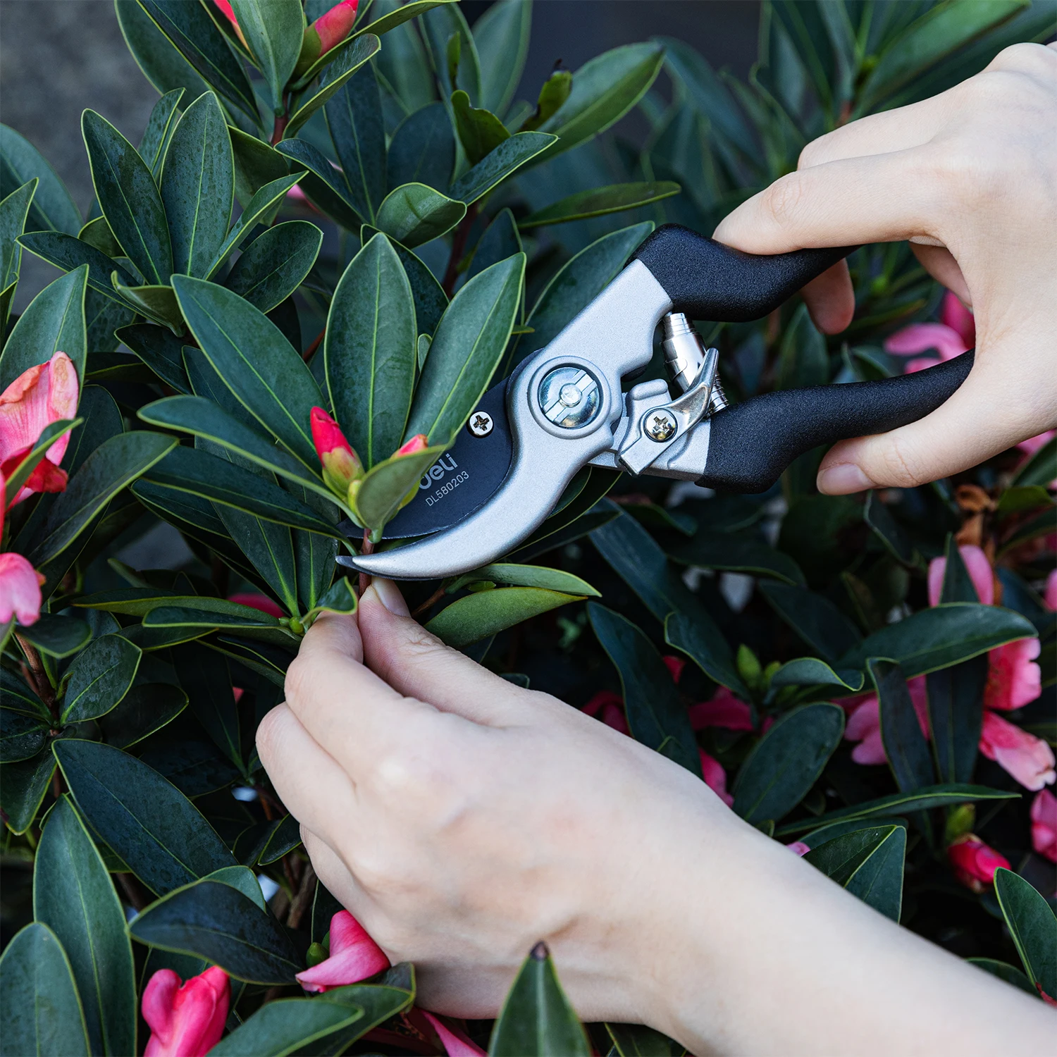Deli 8.5 Inch Garden Scissors Professional Sharp Bypass Pruning Shears Tree Trimmers Secateurs Clippers Garden Scissor garden scissors