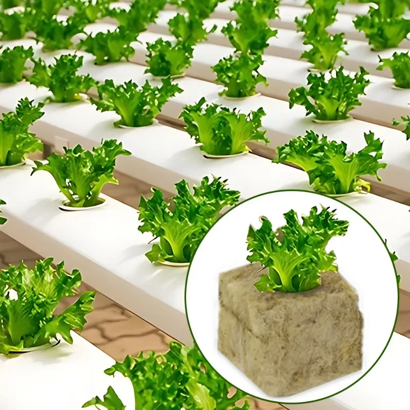 Rock Wool Starter Plugs Rock Wool Grow Cubes Seed Starters Planting Cubes Hydroponics Cuttings Garden Plant Propagation Grow Hydroponic Grow Media Cubes Seed Starter Plugs Soilless Planting Substrate