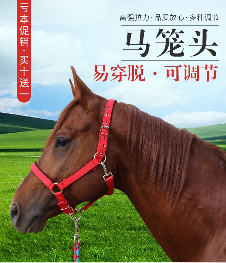 Horse-Head-Dragon-Set-Horse-Bridle-Full-Set-Of-Horse-Dragon-Set-Horse ...