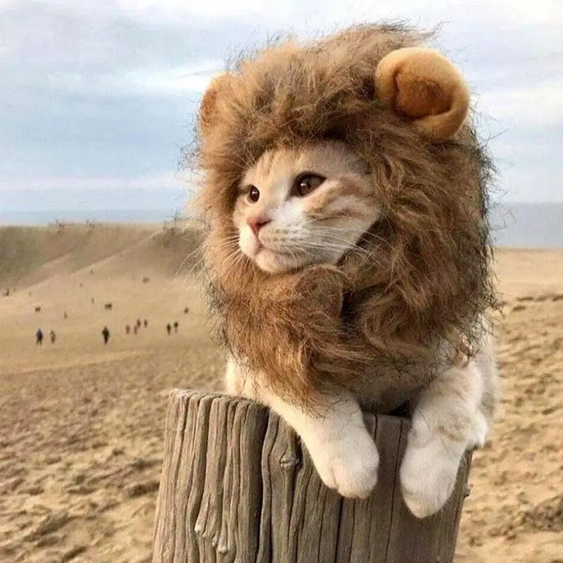 Lion Mane Costume for Cats and Small Dogs
