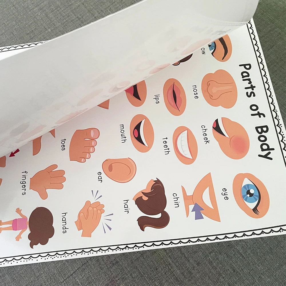 2 PCS English Body Parts Big Card  Early Education for Children Learning Materials Teaching Aids Classroom Wall Decoration 4