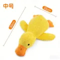 Medium duck