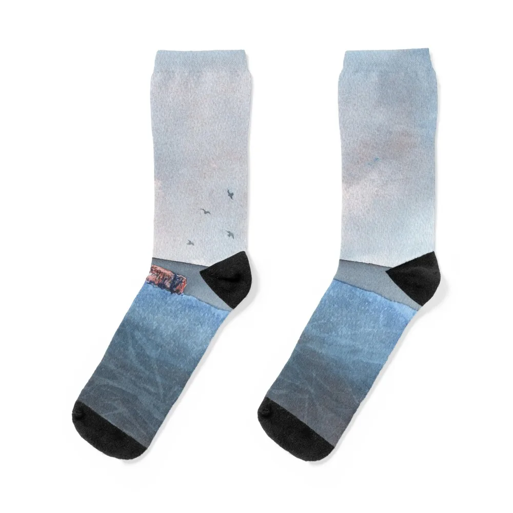

Bass Rock, November 2018 Socks funny gifts golf Antiskid soccer Men Socks Luxury Brand Women's