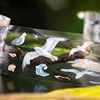 1Roll PET Background Adhesives Writing Tape Birds in the Clouds Series Material Decoration Bird Stickers Scrapbook cut 45mm*2m 4