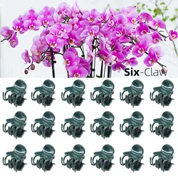 Dark Green Plant Clips - 6-Claw Support Clamps for Orchids and Climbing Vines (50 PCS)